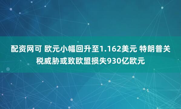 配资网可 欧元小幅回升至1.162美元 特朗普关税威胁或致欧盟损失930亿欧元