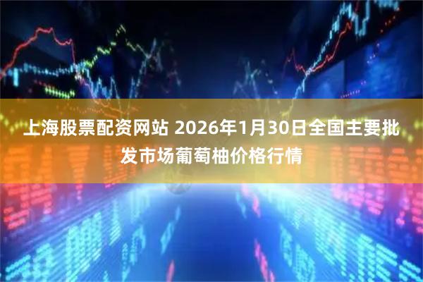 上海股票配资网站 2026年1月30日全国主要批发市场葡萄柚价格行情
